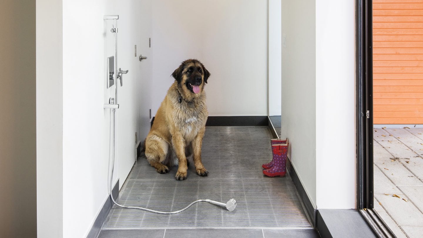 Dog sitting at entrance of Stacey-Turley Residence